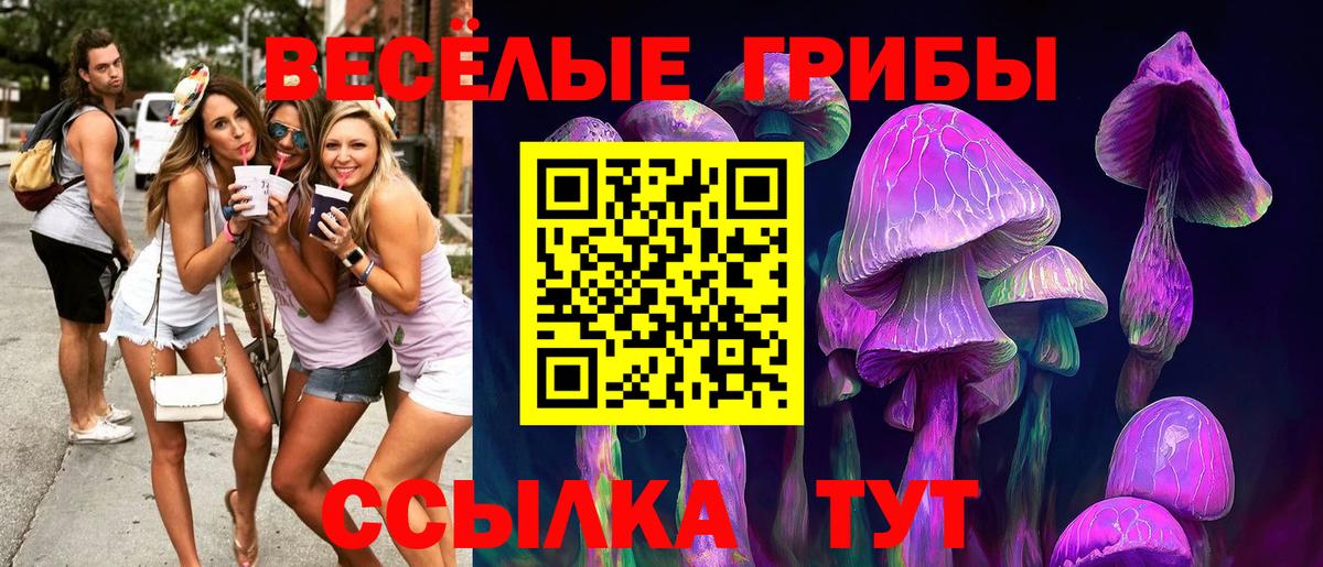 Галлюциногенные грибы мухоморы  Галлюциногенные грибы Magic Shrooms  где можно купить наркотик  Петрозаводск  Вход с VPN 